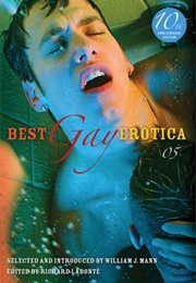 Best Gay Erotica 2005 (Richard Labonté (Editor))