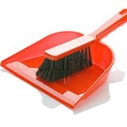 Dustpan Brush