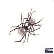 Wet Vagina - Doja Cat