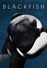 Blackfish - Orca Safety & Welfare Legislation (2013)