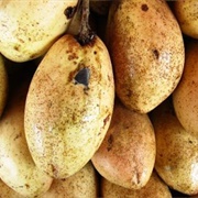 White Mango (Mangifera Caesia)
