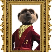 Compare the Meerkat