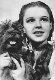 Dorothy (The Wonderful Wizard of Oz, Baum, 1900)