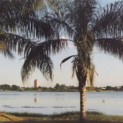 Três Lagoas, Brazil