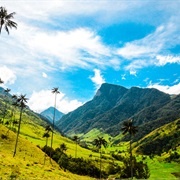Valle Cocora