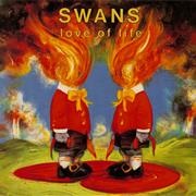 Love of Life - Swans