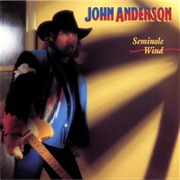 Let Go of the Stone - John Anderson
