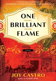 One Brilliant Flame (Joy Castro)