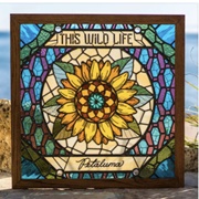 Catie Rae - This Wild Life