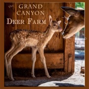 Grand Canyon Deer Farm AZ