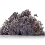 Amathophiba - Fear of Dust