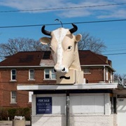 Giant Cow Head