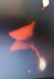 Why Not Stop? Part One (Armleder) (1977)