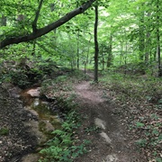 Tuckahoe State Park, Maryland