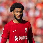 Joe Gomez