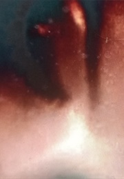 The Films of Guy Bourdin (1980)