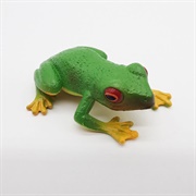 Toy Frog