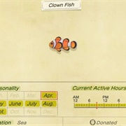 Clown Fish