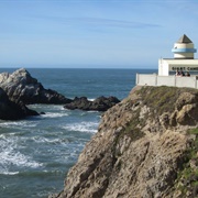 Camera Obscura & Holograph Collection