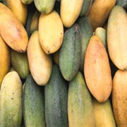 Banana Passionfruit (Passiflora Tarminiana)