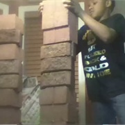 Our No! Our Table! It's Broken!