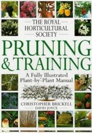 Pruning & Training (Christopher Brickell)