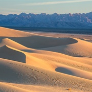 Mojave Trails, CA (BLM)