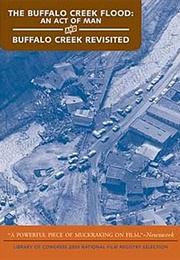 The Buffalo Creek Flood:  an Act of Man (1975)