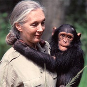 Jane Goodall