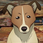 8. the Lonely Pooch Planet, Baby