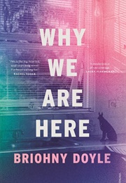 Why We Are Here (Brihony Doyle)