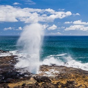 Spouting Horn
