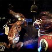 The Curio Emporium (Permanently Closed)