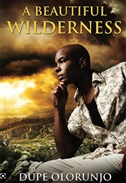 A Beautiful Wilderness (Dupe Olorunjo)