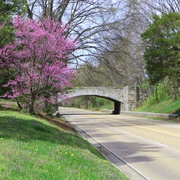 George Washington Memorial Parkway