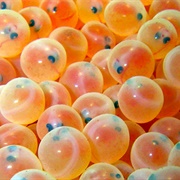 Fish Egg