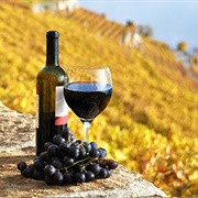 Go Wine Tasting in France