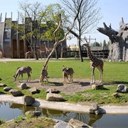 Rotterdam Zoo