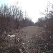 Pruitt-Igoe's Remains