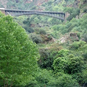 Tlemcen National Park, Algeria