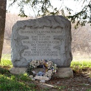 Traverse Colantha Walker's Grave