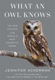 What an Owl Knows (Jennifer Ackerman)