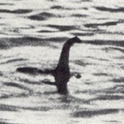Surgeon's Photograph/Loch Ness Monster (1934)