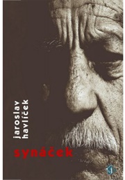 Synáček (Jaroslav Havlíček)
