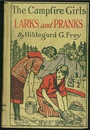 The Camp Fire Girls&#39; Larks and Pranks (Hildegard Gertrude Frey)