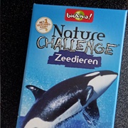 Nature Challenge Cards