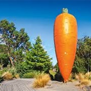 Ohakune Carrot