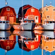 Malpeque Bay Oyster's