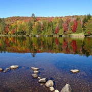 Ricker Pond State Park, Vermont