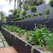 Retaining Wall